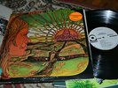 THE CHILDREN REBIRTH ATCO WHITE LABEL PROMO LP TEXAS GARAGE PSYCH SD 33-271