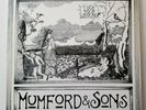 Mumford & Sons - Love Your Ground 10