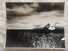 Vintage Brian Griffin Photograph “ A Broken Frame” Depeche Mode 9 1/2 X 7 1/2