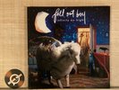 Fall Out Boy - Infinity On High Vinyl (VG+) Rock