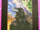 Stranglers,LP,The Raven,3D Sleeve,UK 1stP 1979 United Artists UAG30262 NM Rare