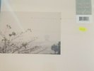 WILD NOTHING Golden Haze EP 10th ANNI. SMOKE VINYL LIMITED EDITION NEW SEALED