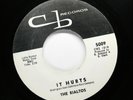 RIALTOS Doo Wop REPRO 45rpm Let me In b/w It Hurts HEAR