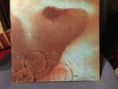 pink floyd meddle shvl 795 Harvest Stereo 1971 VG+