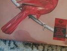 alexisonfire vinyl old crows young cardinals newbury exclusive ltd 500