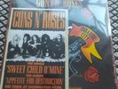 Guns N Roses - Welcome To Paradise City 2 x 10