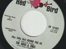 The Odds & Ends - (Hey Little Girl) Before You Go - Never Learn - Red Bird -Rare