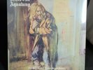 Jethro Tull - Aqualung: 2011 Steven Wilson Mix (LP) 180 gram,  2018, (Sealed)