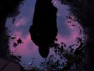Slow Crush-Aurora (US IMPORT) VINYL NEW