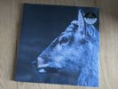 Toe - the book about my idle plot on a vague anxiety - Record, coloured Vinyl.