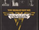 VAN HALEN You Really Got Me 7 INCH VINYL Netherlands Warner Bros 1978 Pic Sleeve