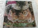 PETER AND THE TEST TUBE BABIES THE MATING SOUNDS OF SOUTH AMERICAN FROGS VG+/VG+
