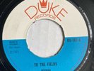 Rocksteady HERMAN CHIN LOY To The Fields DUKE REID 45 Aquarius 45 7