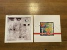 SIOUXSIE AND THE BANSHEES 2 Lp - Through The Looking Glass + Wheels On Fire VG++