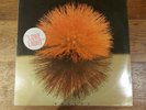 YUTAKA LOVE LIGHT LP NEAR MINT