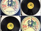 Top Cat - Take It Down Low - Original Dancehall Digi Reggae 12” Vinyl - FREE P&P
