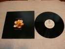 Madonna Maxi Single Vinyl Album Titled You'll See