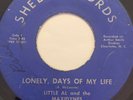 Rare Northern Soul 45/Little Al & Maxidynes