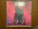 Ten [LP] by Pearl Jam (Vinyl, Aug-1991, Epic Associated)