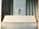 Wire ?– Chairs Missing (UK 1978 1st press vinyl LP , lilac inner) SHSP 4093