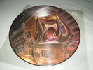 Motörhead  ,Orgasmatron , Picture Disk , Vinyl LP  1986  GWPD 1 TOP