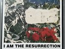 The Stone Roses I Am The Resurrection 12” Vinyl ORE T 40 1992 Includes Art Print