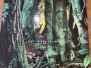 David Sylvian Manafon