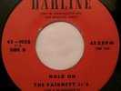 Hot Black Gospel 45 - THE FAIRNETT JR'S. - Hold On / Precious Lord - DARLINE mp3