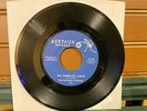Hollywood Tornadoes MOON DAWG/INEBRIATED SURFER Aertaun 45RPM-102 rare