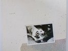 Fleetwood Mac - Tusk  (EX/NrMINT) 1979 UK - K66088