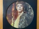 David Bowie Limited Edition Ziggy Stardust Companion Picture Disc LP # 1/300