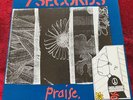 7 Seconds Praise ‘86 Punk NM 45 RPM EP Lyrics Insert & Merch Positive Force Rec