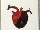 Martina Topley BIrd Pure Heart Vinyl Robert Del Naja 3D Massive Attack / Banksy