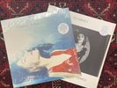 PJ Harvey To Bring You My Love Vinyl LP & Demos 90’s Alternative Rock Records