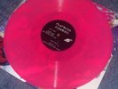 flatbush zombies vinyl