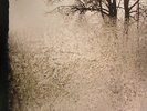 BON IVER - For Emma Forever Ago - Vinyl (LP)