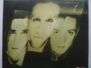 The Wild Swans-