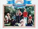 THE BEACH BOYS SUNFLOWER 1975 LP BROTHER RECORDS REPRISE VG+ VINYL BRIAN WILSON
