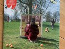 An Introduction To Syd Barrett - PINK FLOYD Vinyl 2010 - STILL SEALED ?