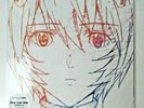 Evangelion Theme songs Japanese limited Vinyl 12