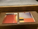 Nine Inch Nails The Fragile and The Fragile Deviations 1 On Vinyl.