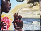 Miles Davis - Bitches Brew - MFSL 2LP Vinyl
