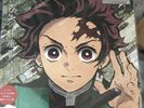 Demon Slayer Kimetsu no Yaiba LiSA Red Lotus Flower Flame Analog Record Board