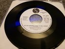 Ramones – Do You Remember Rock 'N' Roll Radio? Canada 7