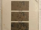 SA RODRIX GUARABYRA PASSADO PRESENTE FURUTO LP 1972 ODEON BRAZIL PSYCH FOLK