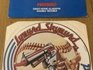 Lynard Skynard / Free Bird / 12 Inch Vinyl Picture Disc / Original 1982 / Rare /