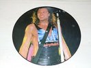 BON JOVI - Slippery When Wet - 1986 UK Collectors 10-track LP Picture Disc