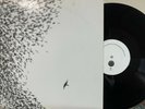 WILCO sky blue sky NONESUCH 2xLP alternative indie rock