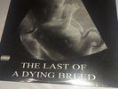 Scarface - Last Of A Dying Breed  Vinyl LP  2000 New & Sealed  Rare   Jay-Z UGK