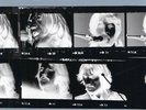 The Beatles ?– Let It Be... Naked 2lp+7